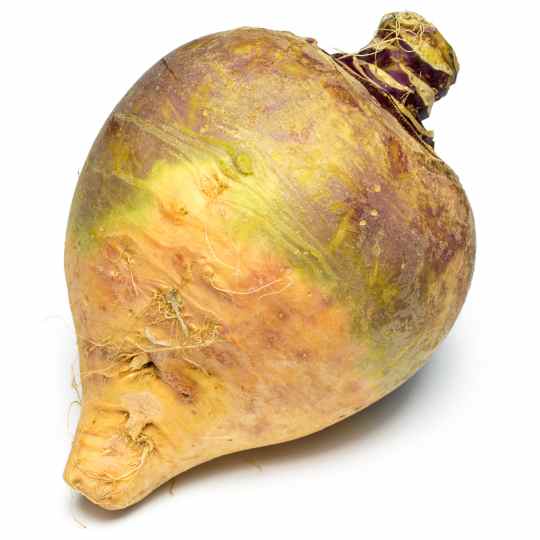 bodenkohlrabi