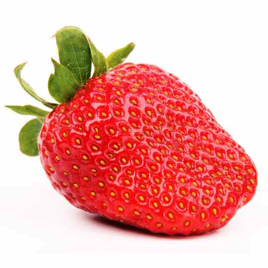 erdbeeren
