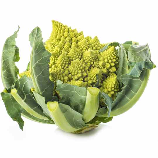 romanesco