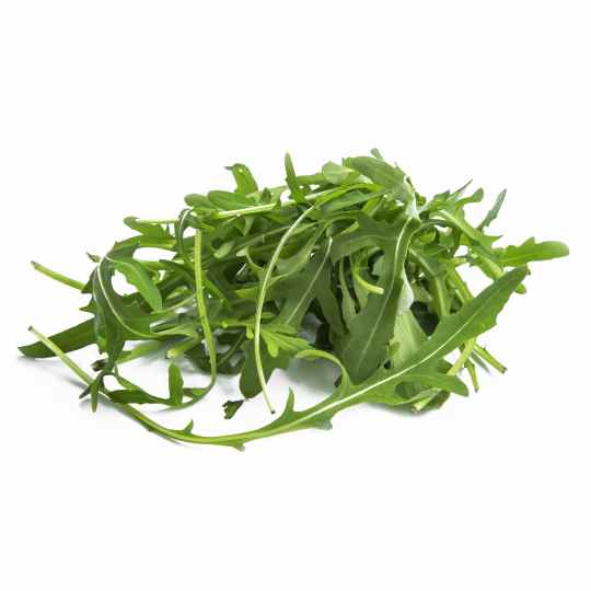 rucola