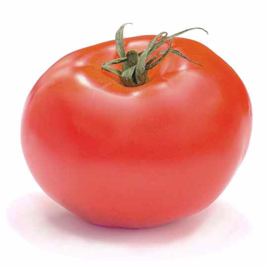 tomaten